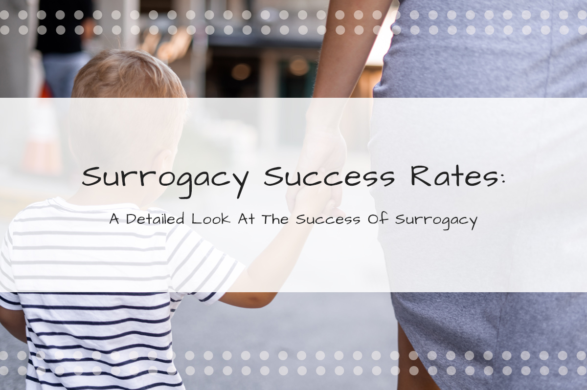 Surrogacy Success Rates A Detailed Look At The Success of Surrogacy