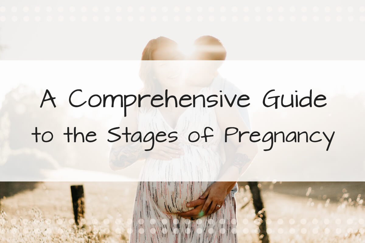 A Comprehensive Guide to the Stages of Pregnancy: For Potential Surrogates