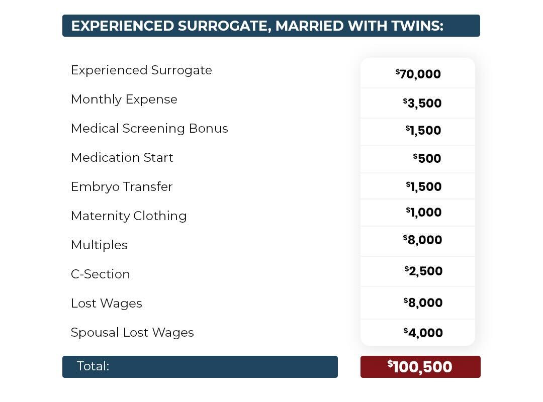 Experienced Surrogate, Married with Twins updated