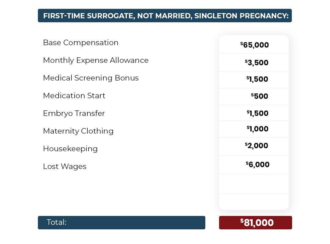 First Time Surrogate, Not Married, Single Pregnancy updated