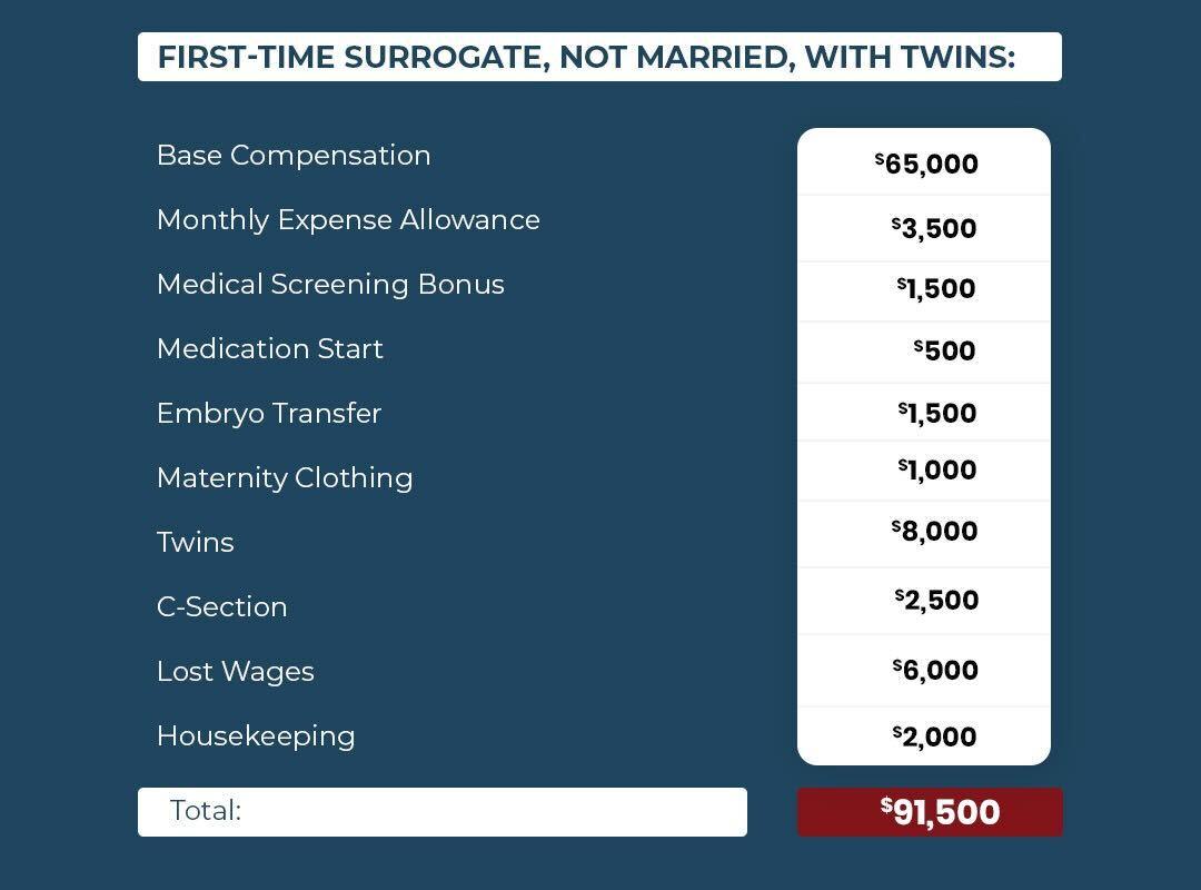 First Time Surrogate, Not Married, with Twins updated